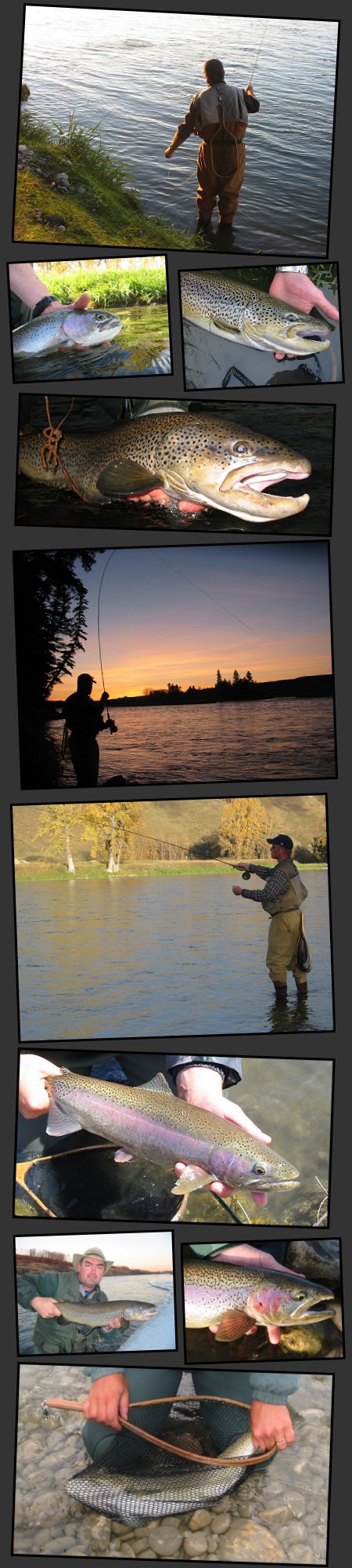 Bow River Pictures