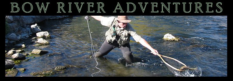Crowsnest River