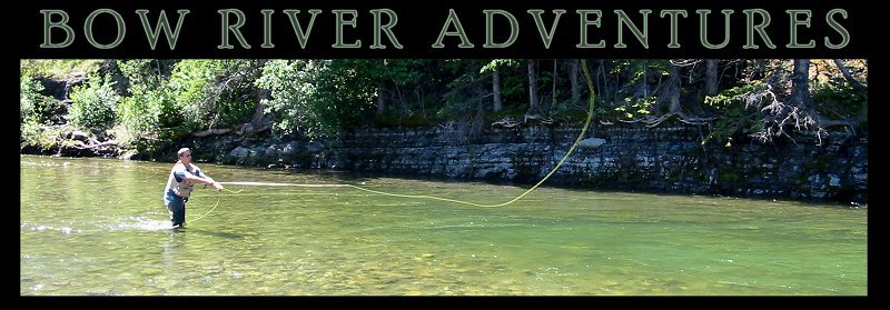 Livingstone River