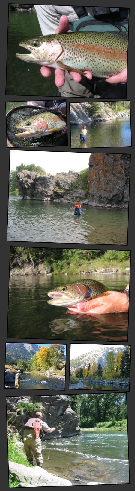 Crowsnest River Photos