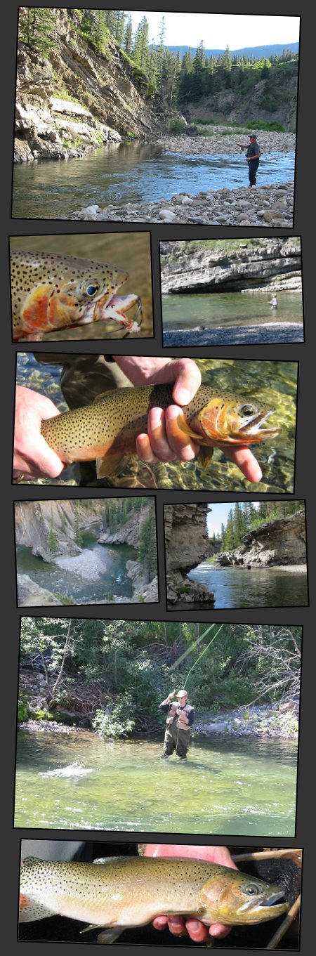 Livingstone River Photos