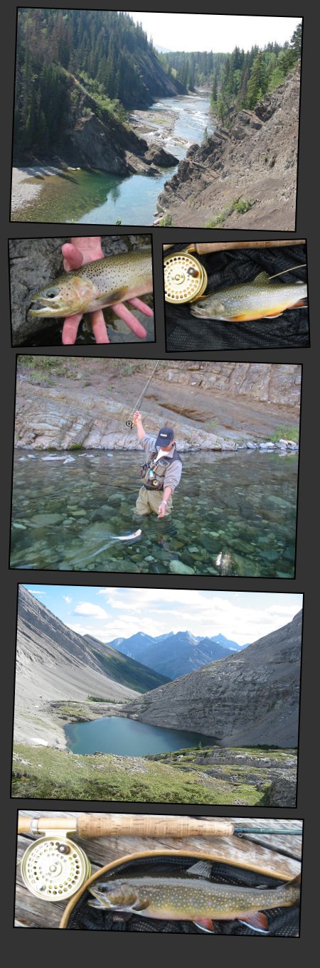 Other Streams and Destinations Photos